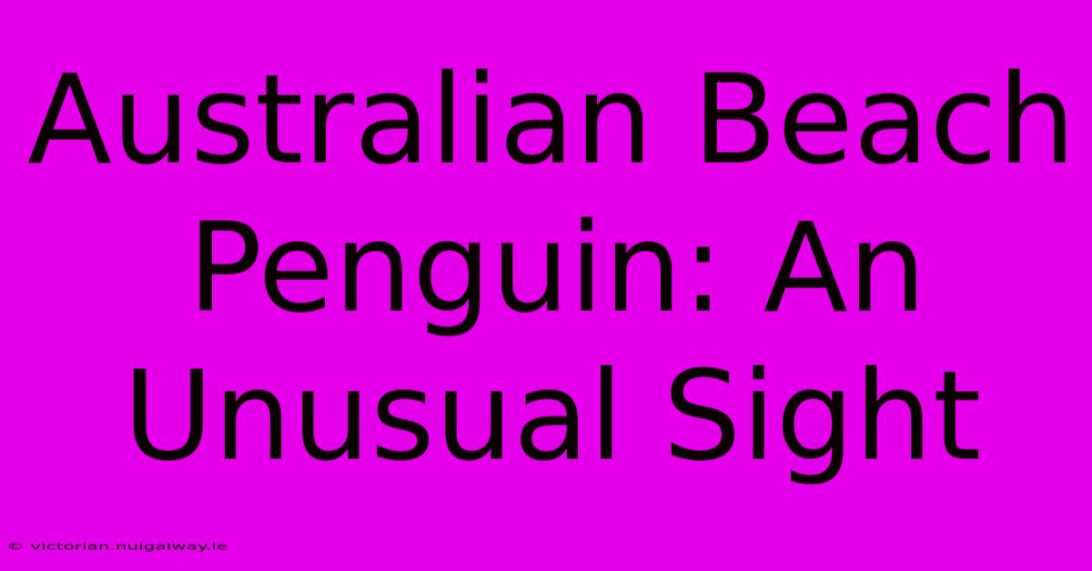 Australian Beach Penguin: An Unusual Sight