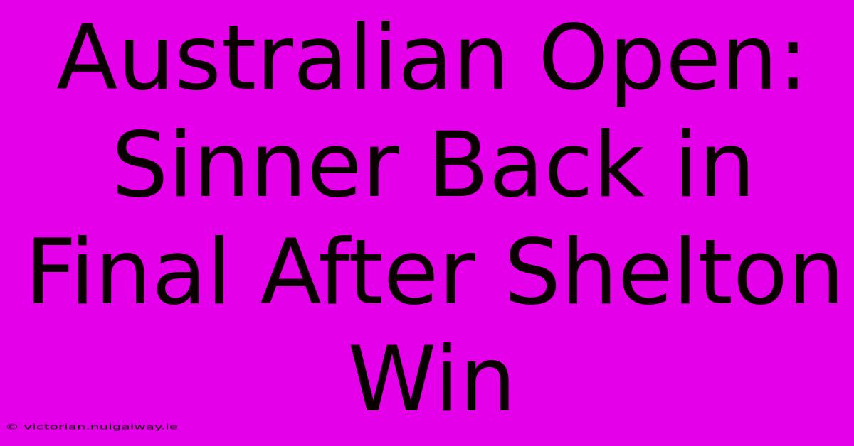 Australian Open: Sinner Back In Final After Shelton Win