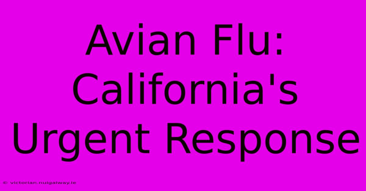 Avian Flu: California's Urgent Response