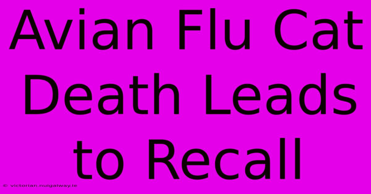 Avian Flu Cat Death Leads To Recall