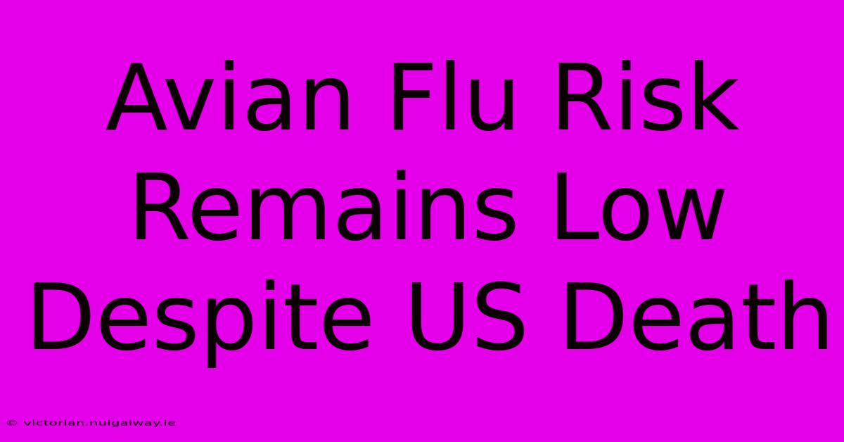 Avian Flu Risk Remains Low Despite US Death