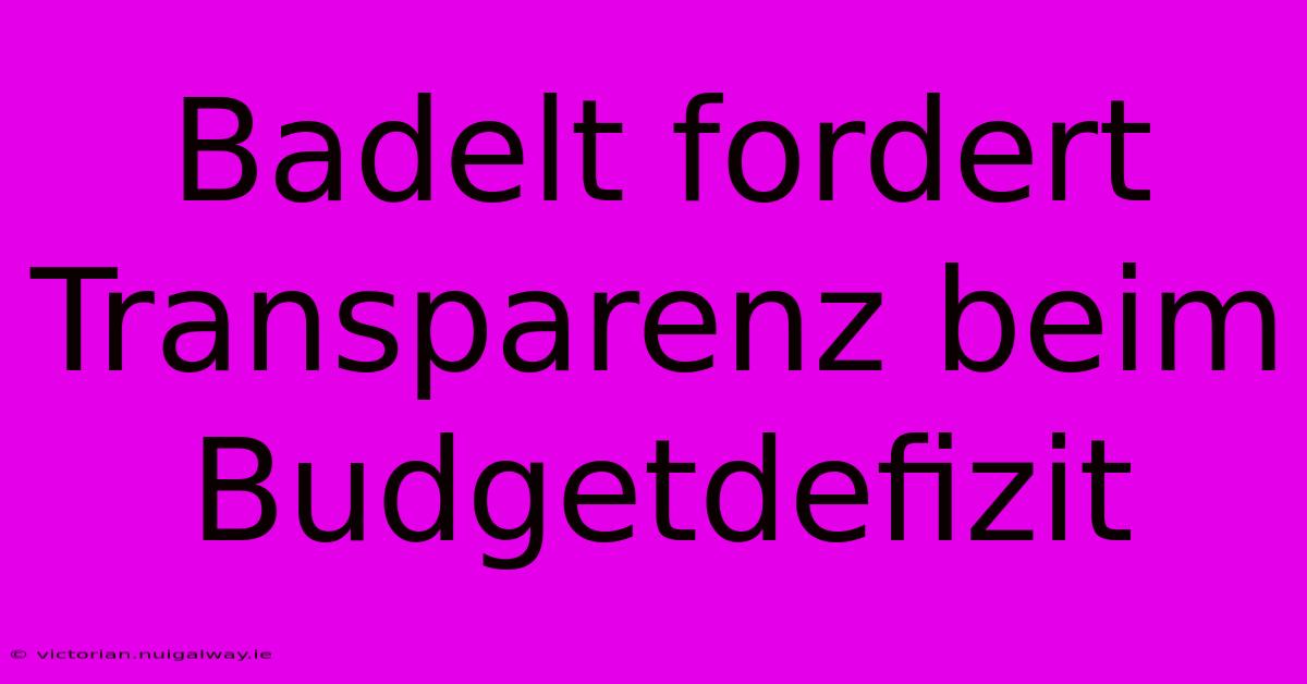 Badelt Fordert Transparenz Beim Budgetdefizit 