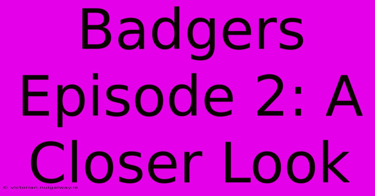 Badgers Episode 2: A Closer Look