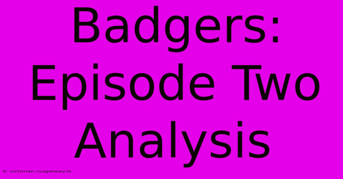 Badgers: Episode Two Analysis