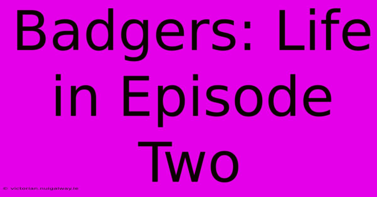 Badgers: Life In Episode Two