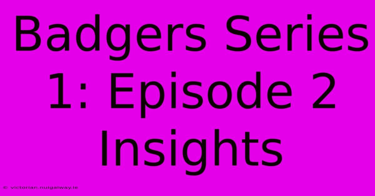 Badgers Series 1: Episode 2 Insights