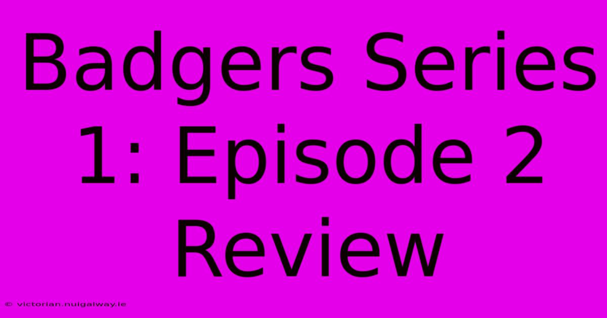 Badgers Series 1: Episode 2 Review