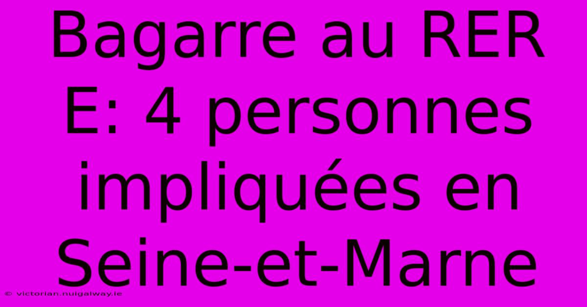 Bagarre Au RER E: 4 Personnes Impliquées En Seine-et-Marne