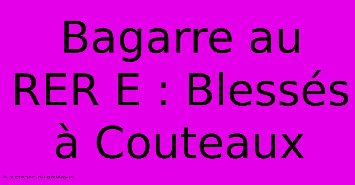 Bagarre Au RER E : Blessés À Couteaux 