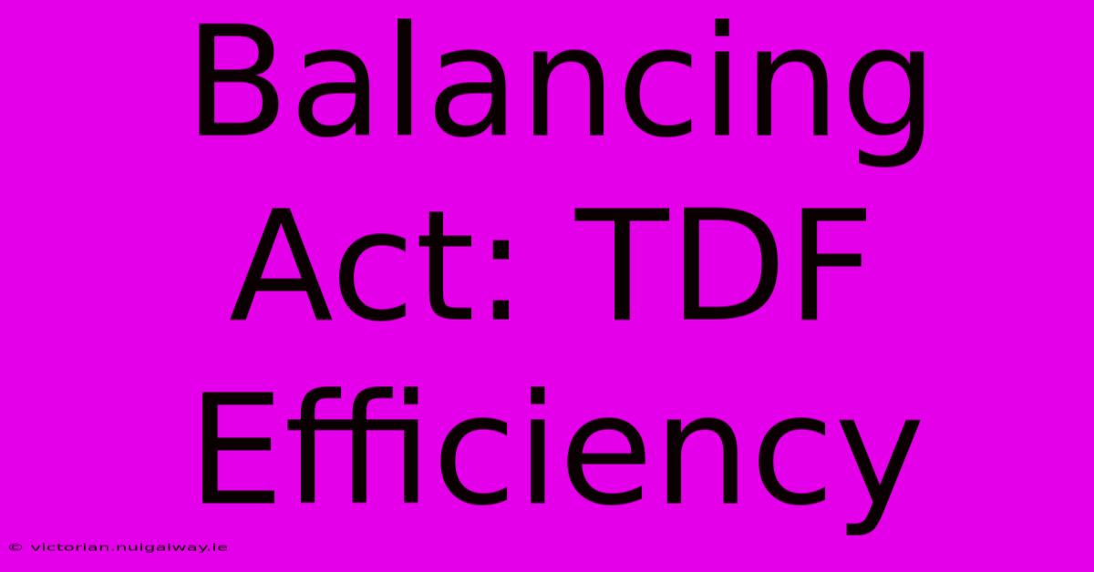 Balancing Act: TDF Efficiency