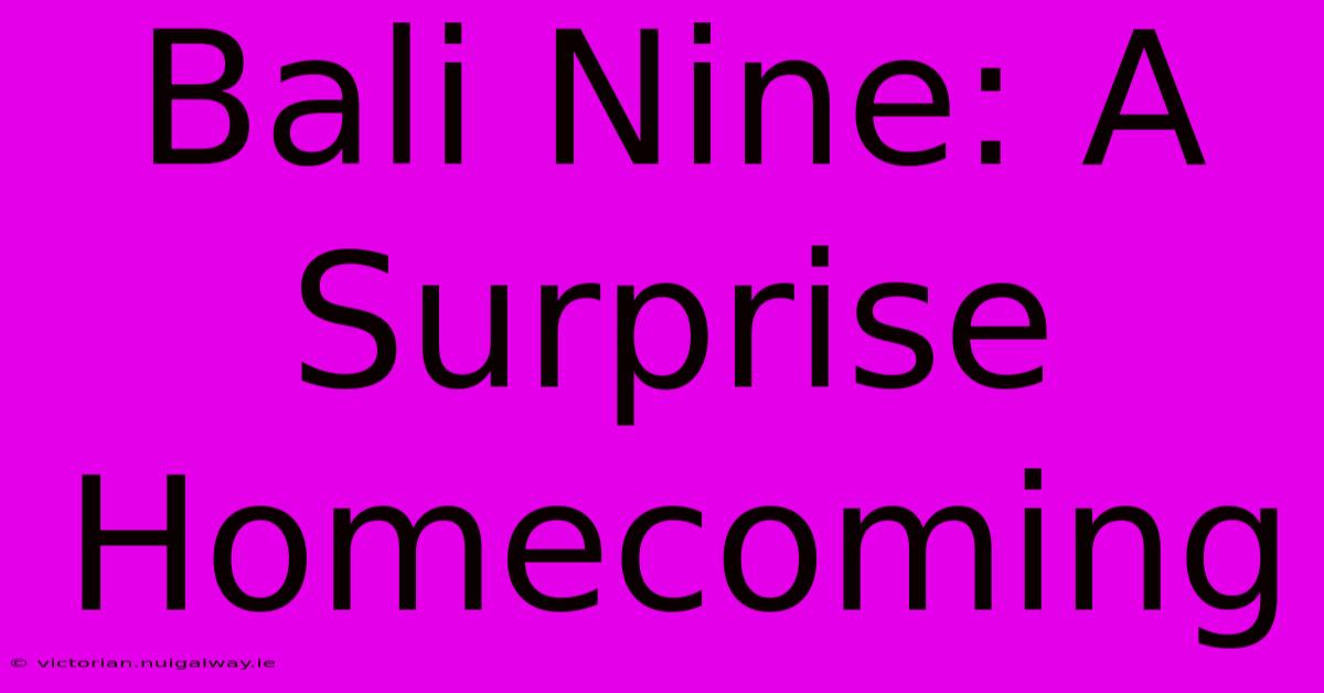 Bali Nine: A Surprise Homecoming