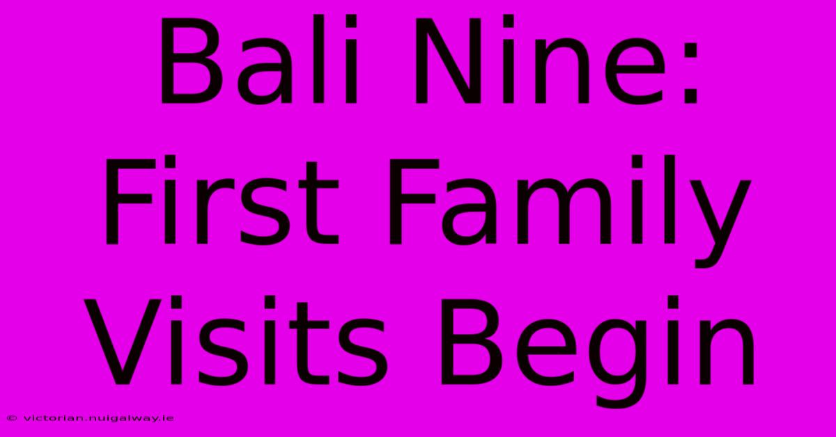 Bali Nine: First Family Visits Begin