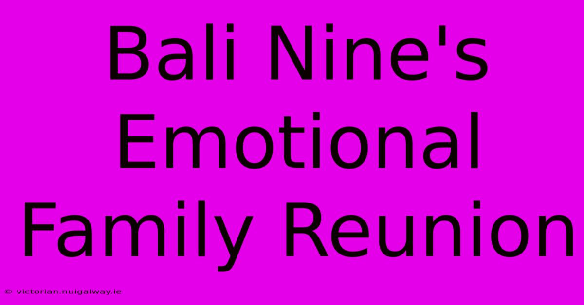 Bali Nine's Emotional Family Reunion