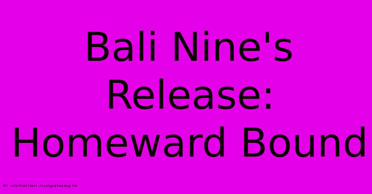 Bali Nine's Release: Homeward Bound