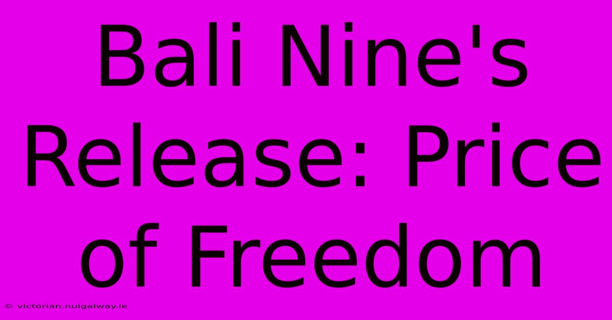 Bali Nine's Release: Price Of Freedom