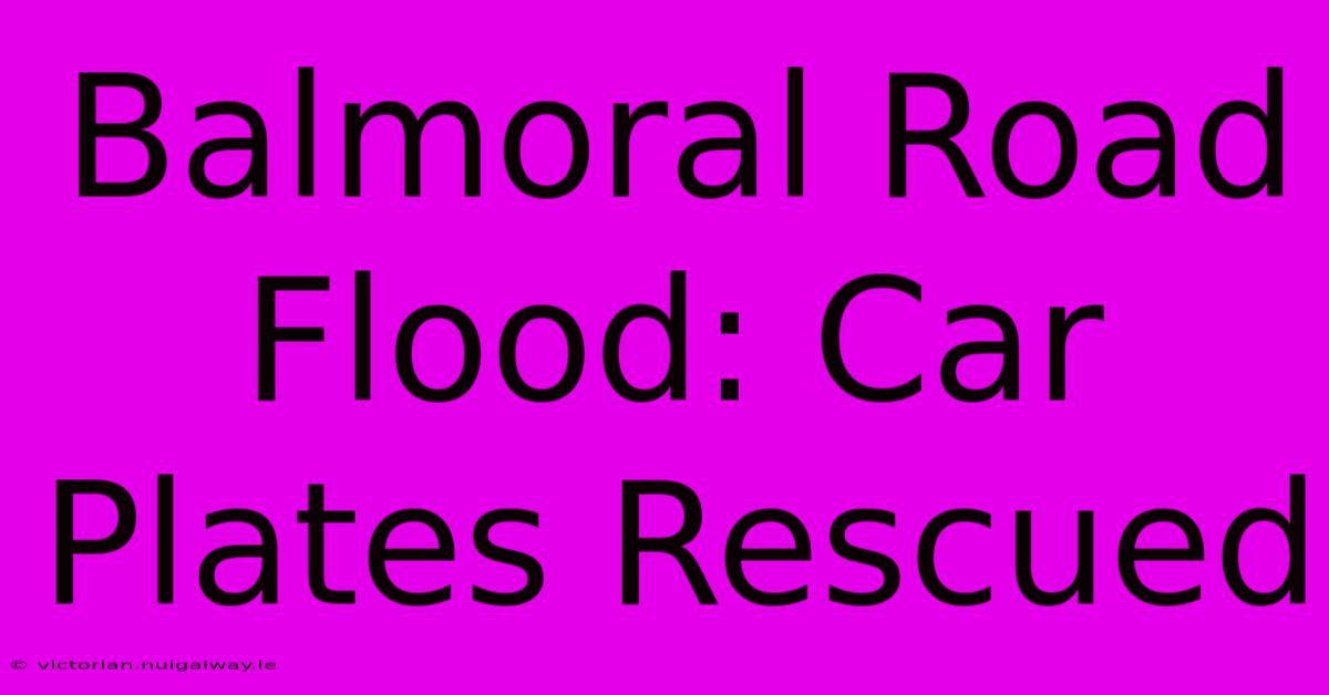 Balmoral Road Flood: Car Plates Rescued