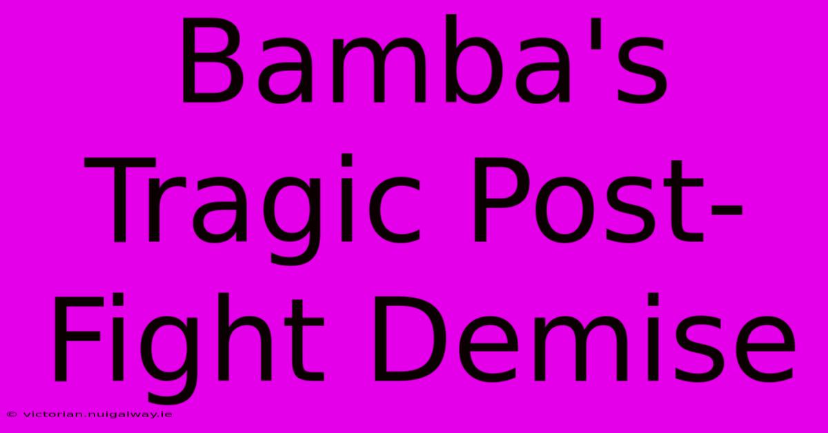 Bamba's Tragic Post-Fight Demise