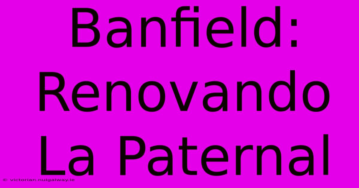 Banfield: Renovando La Paternal