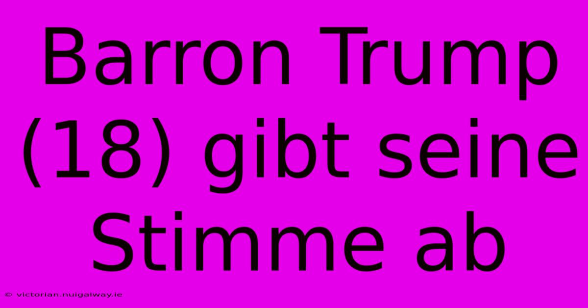 Barron Trump (18) Gibt Seine Stimme Ab