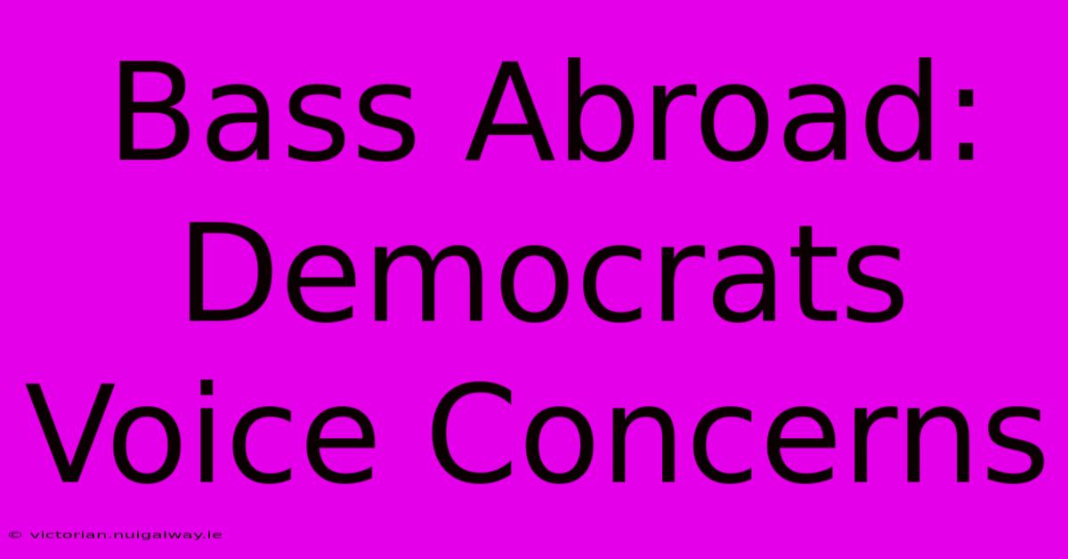 Bass Abroad: Democrats Voice Concerns