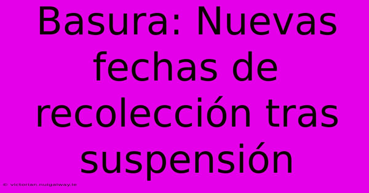 Basura: Nuevas Fechas De Recolección Tras Suspensión 