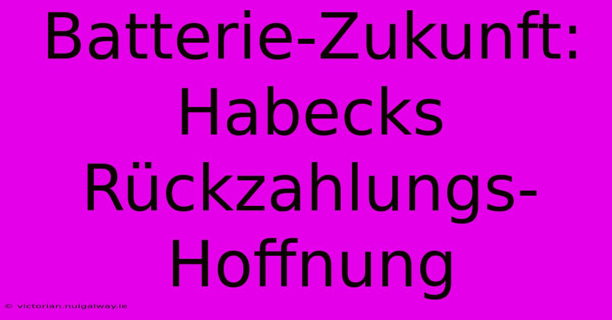 Batterie-Zukunft: Habecks Rückzahlungs-Hoffnung