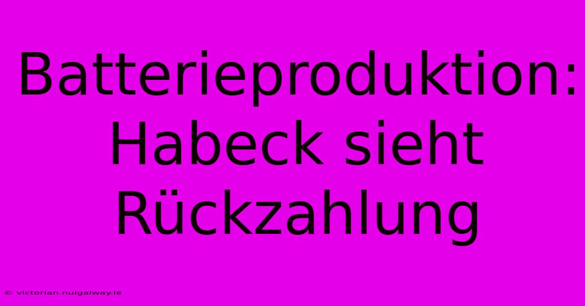 Batterieproduktion: Habeck Sieht Rückzahlung