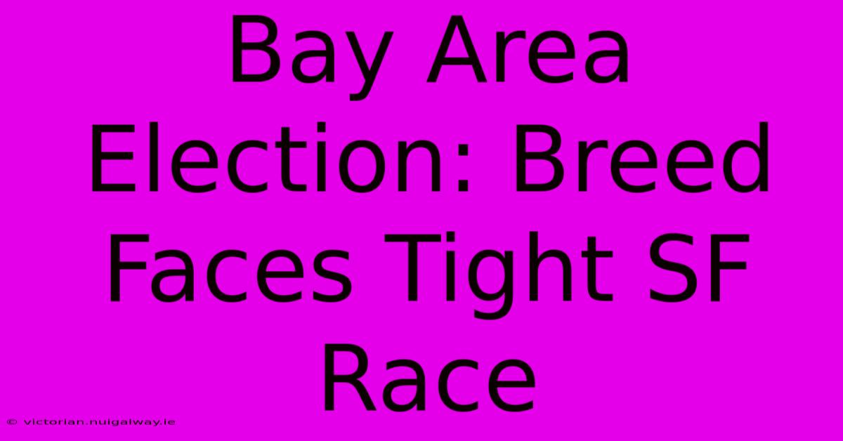 Bay Area Election: Breed Faces Tight SF Race