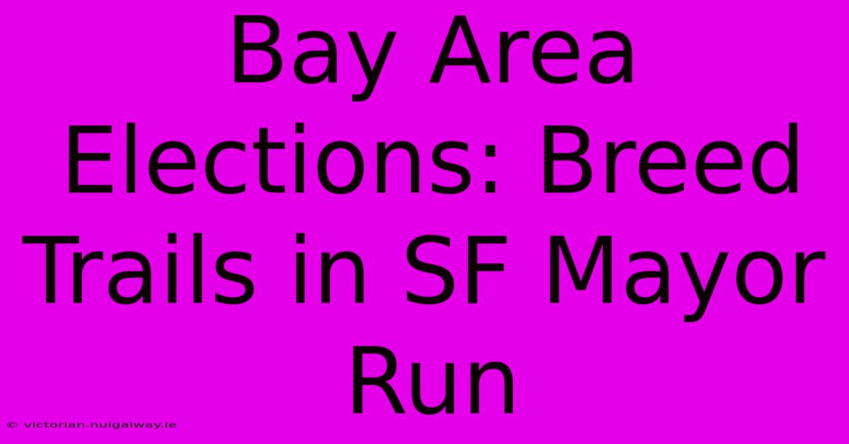 Bay Area Elections: Breed Trails In SF Mayor Run 