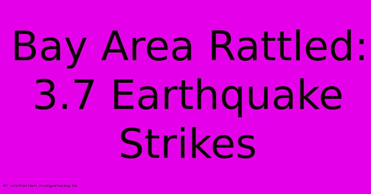 Bay Area Rattled: 3.7 Earthquake Strikes