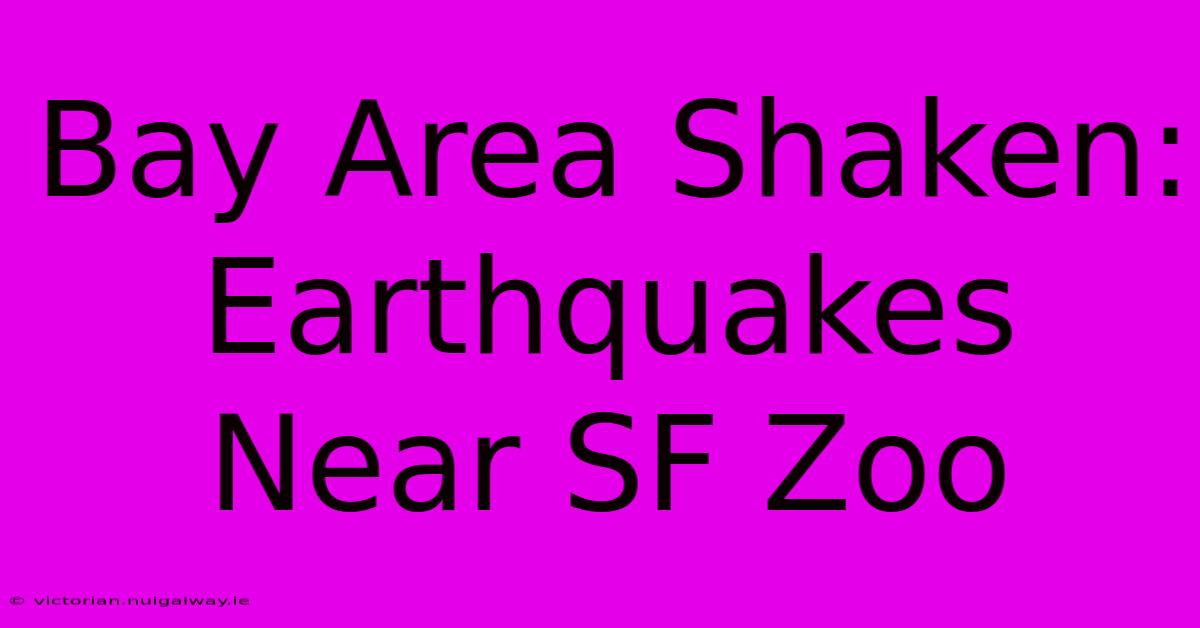 Bay Area Shaken: Earthquakes Near SF Zoo