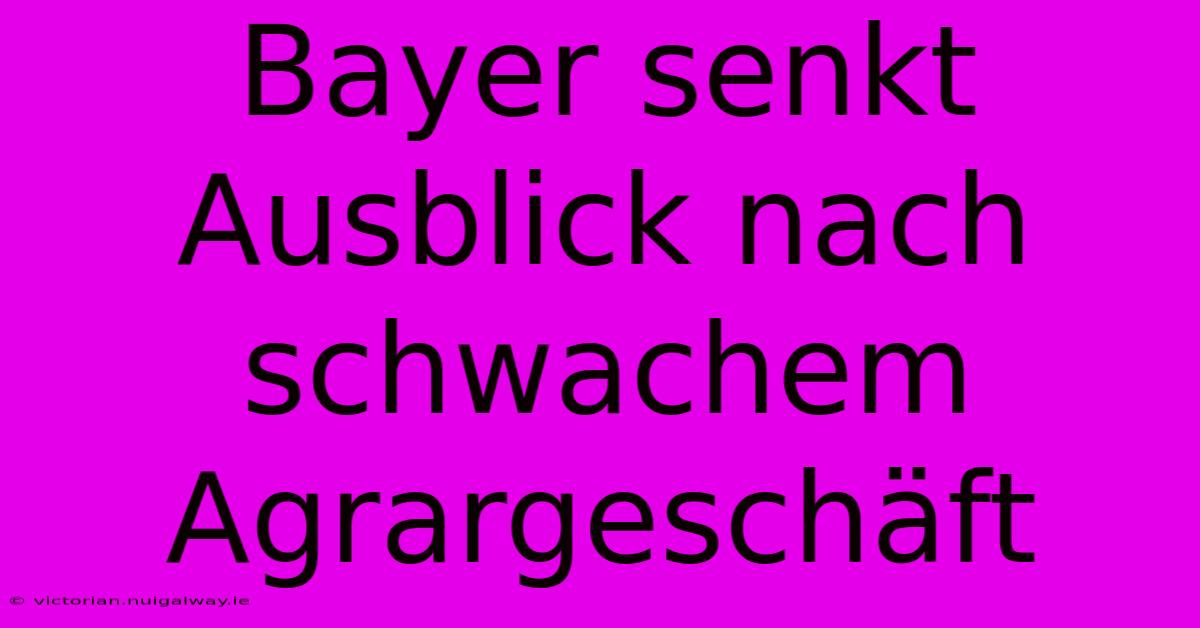 Bayer Senkt Ausblick Nach Schwachem Agrargeschäft