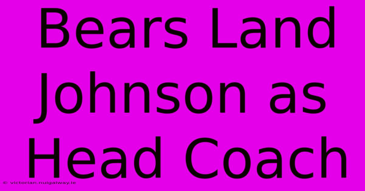 Bears Land Johnson As Head Coach