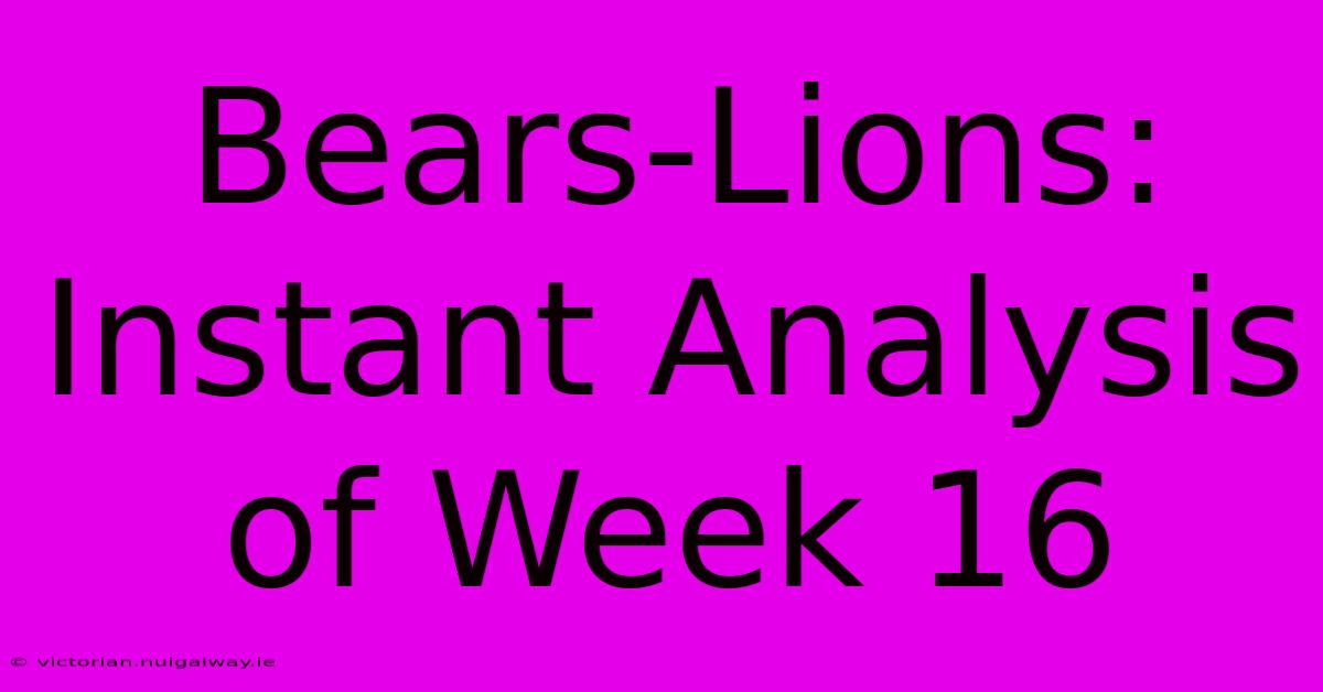 Bears-Lions: Instant Analysis Of Week 16