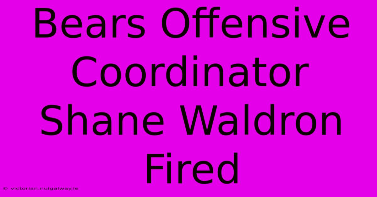 Bears Offensive Coordinator Shane Waldron Fired 