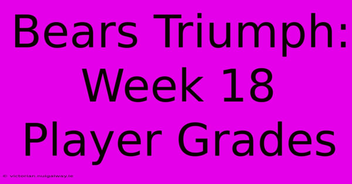 Bears Triumph: Week 18 Player Grades