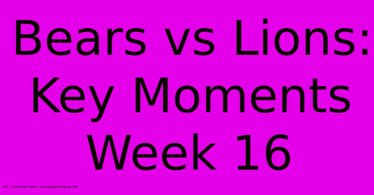 Bears Vs Lions: Key Moments Week 16