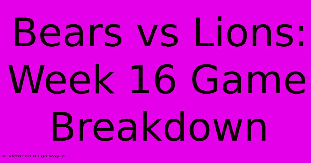 Bears Vs Lions: Week 16 Game Breakdown