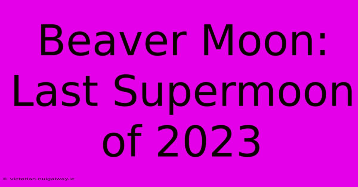 Beaver Moon: Last Supermoon Of 2023