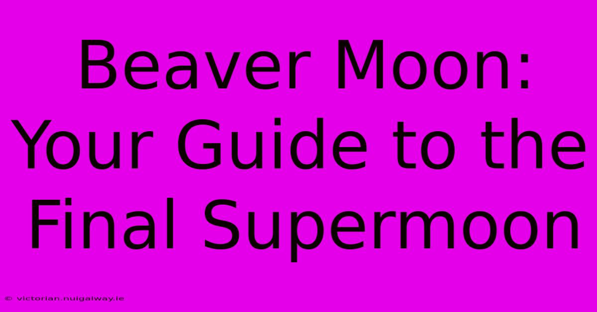 Beaver Moon: Your Guide To The Final Supermoon