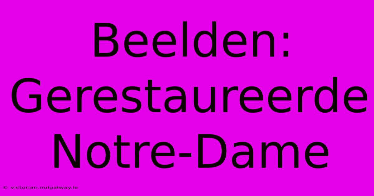 Beelden: Gerestaureerde Notre-Dame