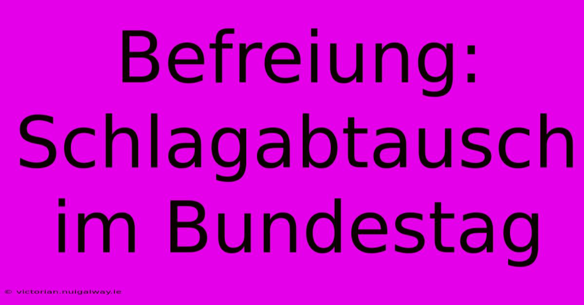 Befreiung: Schlagabtausch Im Bundestag