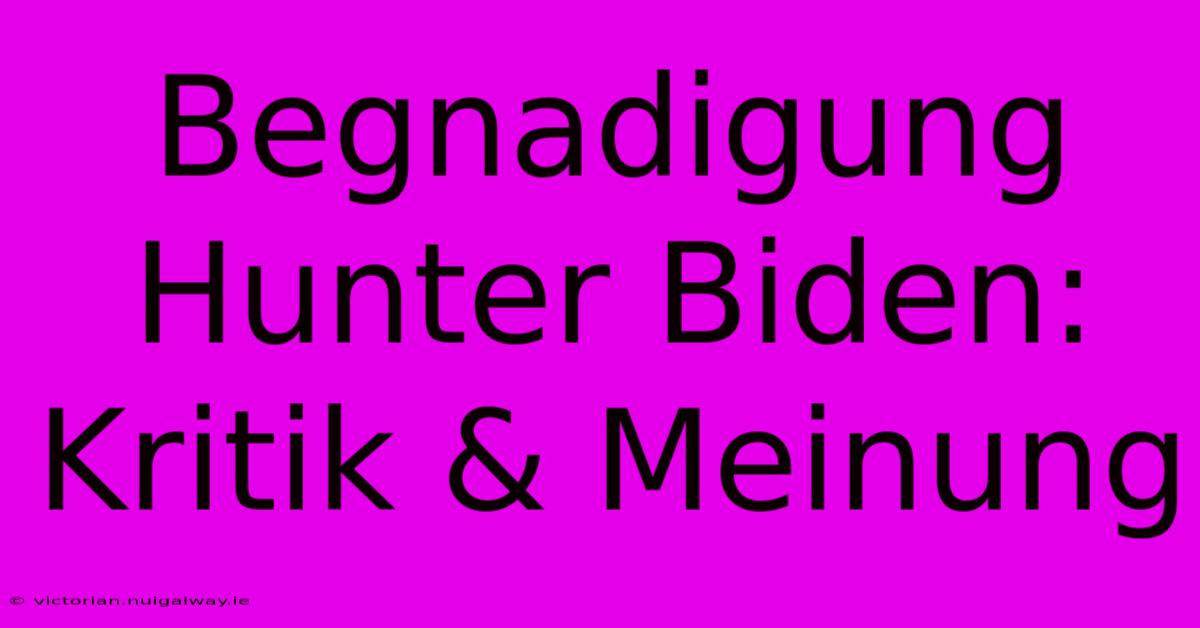 Begnadigung Hunter Biden: Kritik & Meinung