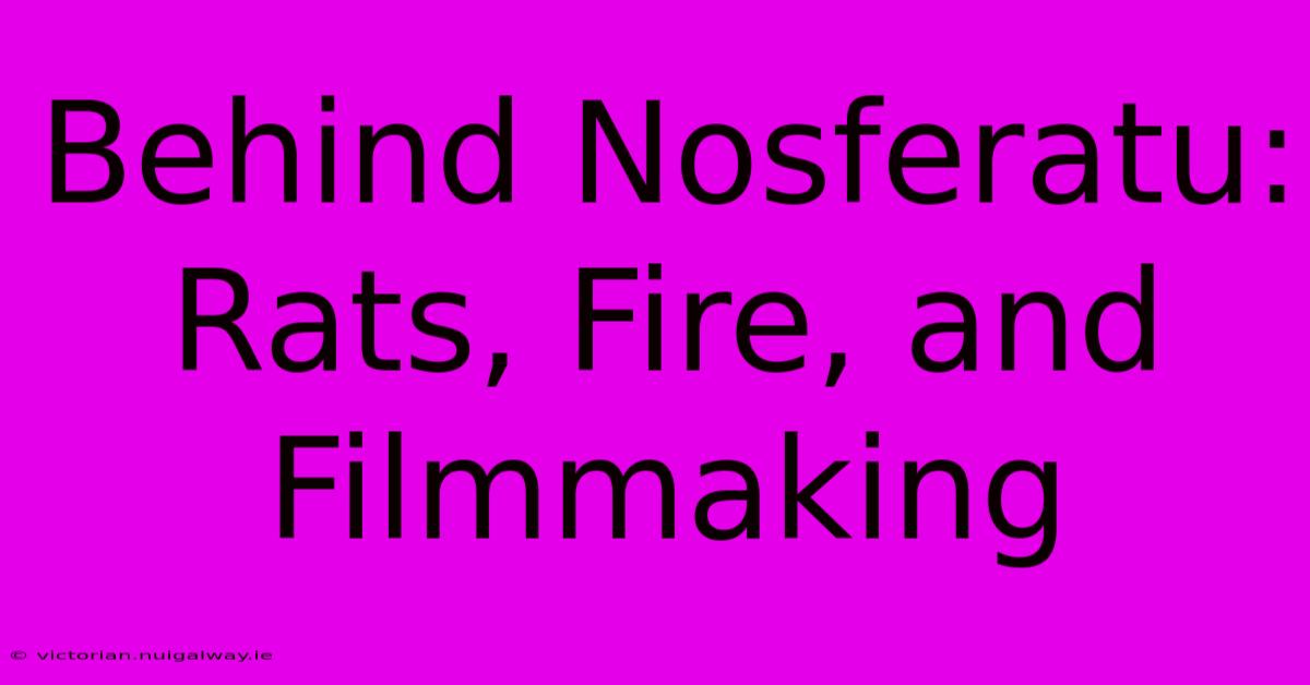 Behind Nosferatu: Rats, Fire, And Filmmaking