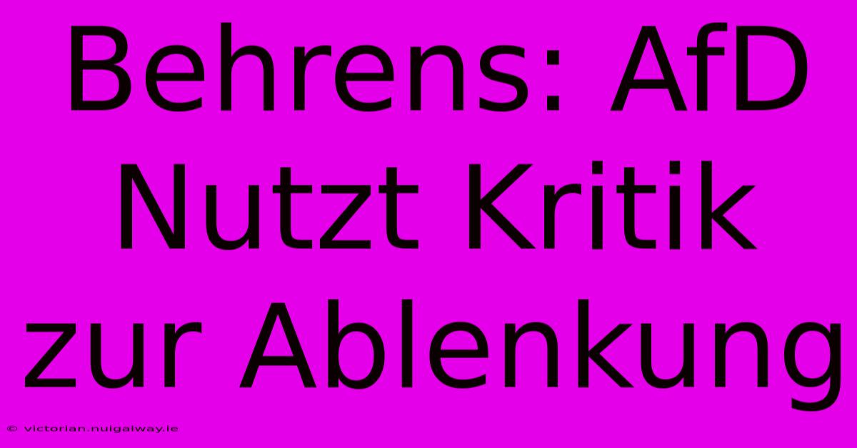 Behrens: AfD Nutzt Kritik Zur Ablenkung 