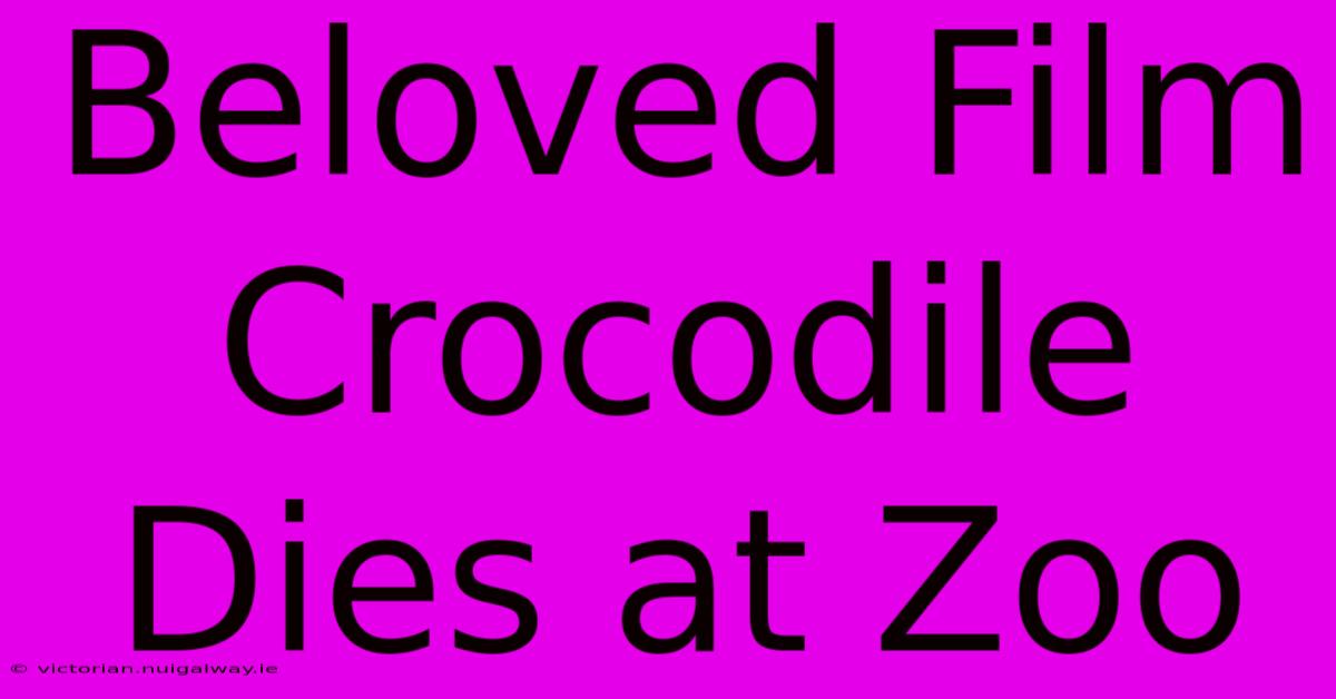 Beloved Film Crocodile Dies At Zoo