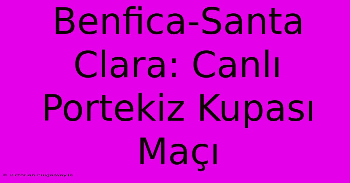 Benfica-Santa Clara: Canlı Portekiz Kupası Maçı