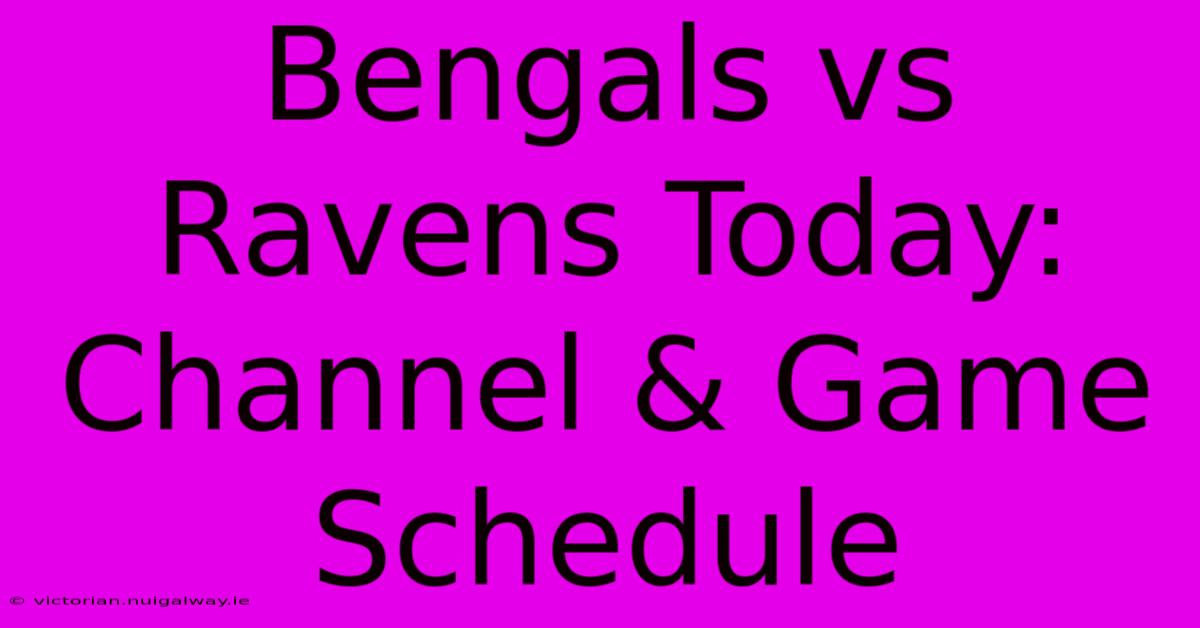 Bengals Vs Ravens Today: Channel & Game Schedule