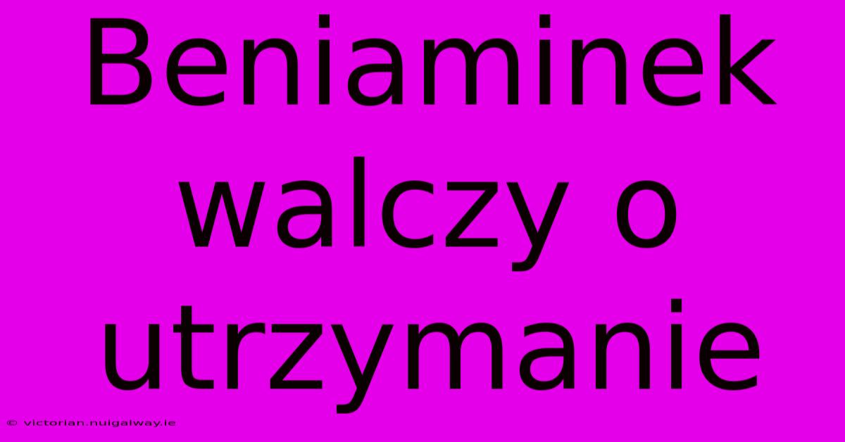 Beniaminek Walczy O Utrzymanie