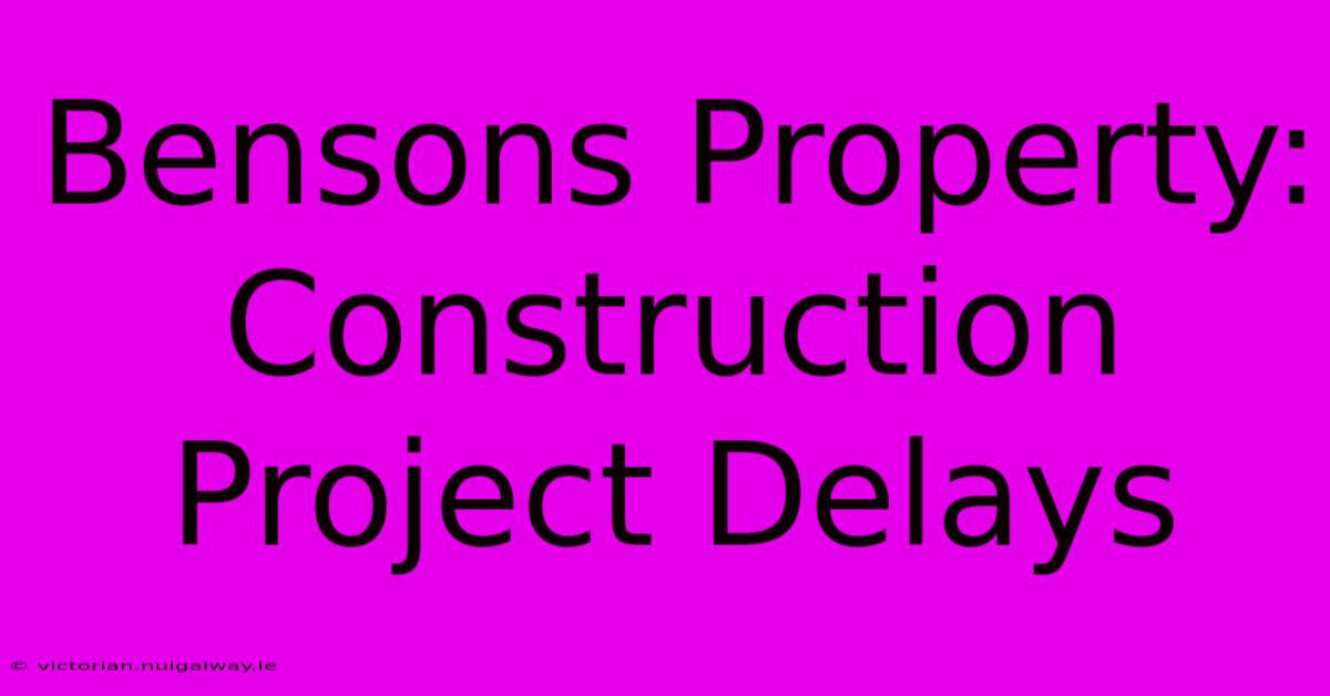 Bensons Property:  Construction Project Delays